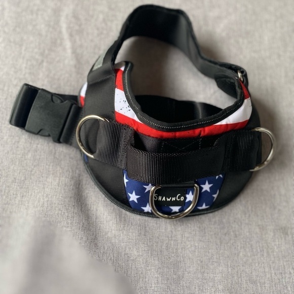 No-Pull Pet Vest with 3 Leash Clips, No Choke, Reflective, Adjustable and Padded - Picture 3 of 9